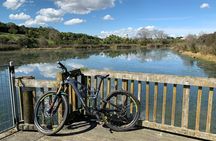 Auckland Half Day E-Bike Excursion