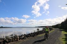 Auckland Half Day E-Bike Excursion