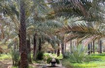 Explore Aljabal Alackder and Burkat Almouz Wonders 