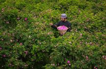 Explore Aljabal Alackder and Burkat Almouz Wonders 