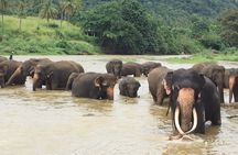 8 Nights In Amazing Sri Lanka
