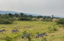 5 Days 4 Nights Akagera Safari and Chimpanzee Trekking Rwanda