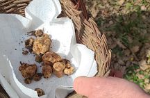 Truffle Hunting in Chianti, pasta class and lunch 