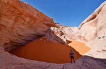 8 Hours Cosmic Ashtray Experience in Escalante