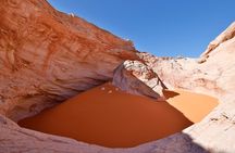 8 Hours Cosmic Ashtray Experience in Escalante