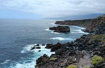 6hrs Private Tour in North Coast of Tenerife