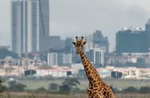  Nairobi Park Wildlife Safari