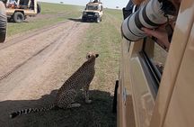  Nairobi Park Wildlife Safari