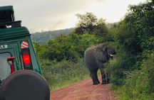 Full Day Akagera National Park Game Drive and Boat Safari