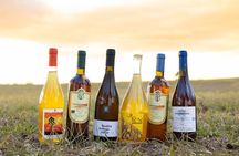 Private Greek Artisan Wine Tasting at Satyrs "The Cellar"