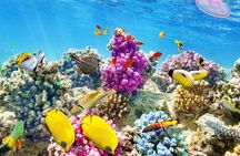Boat Trip in Hurghada Paradise Island with Snorkeling & Lunch 