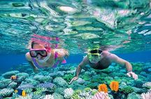 Boat Trip in Hurghada Paradise Island with Snorkeling & Lunch 