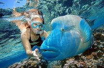 Hurghada Paradise Island Snorkeling Boat Trip