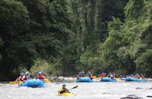 Rafting Pacuare River from La Fortuna w/ shuttle to Puerto Viejo or San Jose