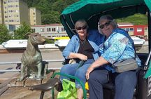 Five-Star Juneau Pedicab Private Tour