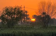 Egyptian Countryside Tour & Real Life Tour with Egyptian Family 