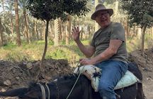 Egyptian Countryside Tour & Real Life Tour with Egyptian Family 