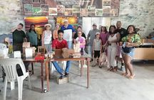 Half-day City tour cultural from punta cana for small group