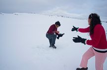 Full Day Arctic Circle Tour