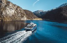 Mostraumen Fjord Cruise