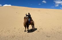 Semi-Gobi and Kharkhorum overnight private trip