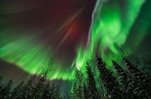 Northern Lights Hunting Tour Rovaniemi 