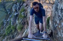 Half-day Lion's Head Hike in Cape Town 