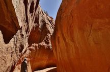 Peekaboo, Spooky and Dry Fork Slot Canyon Tour