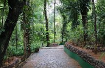 Private Kandy Day Tour from Colombo