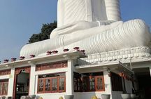 Private Kandy Day Tour from Colombo