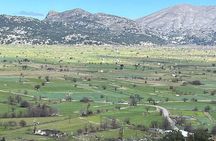 Crete in a Day: Knossos, Soap Workshops, Olive Oil & Wine Tasting