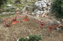 Crete in a Day: Knossos, Soap Workshops, Olive Oil & Wine Tasting