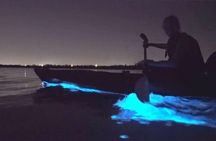 Holbox Bioluminescence Kayaking Tour