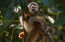 4 Days Cuyabeno Amazon Experience at Waita Lodge
