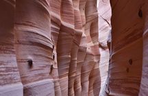 Zebra Slot Canyon Hiking Tour in Escalante