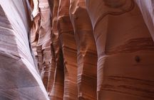 Zebra Slot Canyon Hiking Tour in Escalante