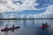 Dolphin and Manatee Adventure tour of Osprey with Florida History