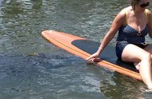 Dolphin and Manatee Adventure tour of Osprey with Florida History