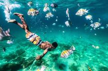 Angra dos Reis and Ilha Grande Boat Tour from Rio de Janeiro