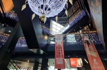 Belfast Titanic Museum and Sighseeing Tour