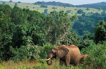 Full Day Isimangaliso Wetlands Park -Croc & Hippo &Game Fr Durban