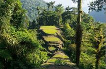 Discover Lost City: 4-Day Hike in Santa Marta