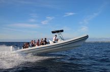 Blue Cave and Hvar 5 Islands Tour from Split