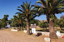 Guided Speedboat Tour with Food, Oil & Wine Tasting
