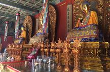 2-Hour Lama Temple and Confucius Temple Guided Walking Tour 