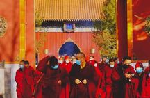 2-Hour Lama Temple and Confucius Temple Guided Walking Tour 