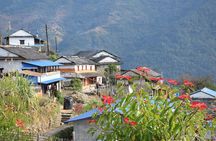 Luwang Village Home Stay Easy Trek with Tea Garden Visit