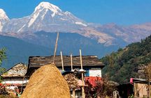 Luwang Village Home Stay Easy Trek with Tea Garden Visit