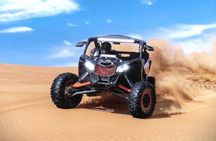 Ultimate Desert Adventure: Buggy Ride, Camel Ride & Dune Bashing