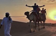 Ultimate Desert Adventure: Buggy Ride, Camel Ride & Dune Bashing
